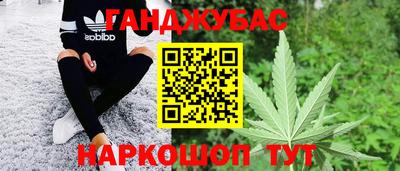 крисы Лесосибирск