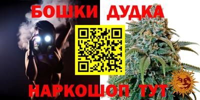 крисы Лесосибирск