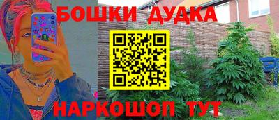 крисы Лесосибирск