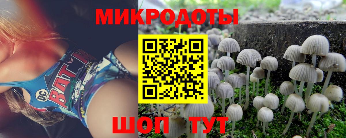 Псилоцибиновые грибы MAGIC MUSHROOMS Гудермес