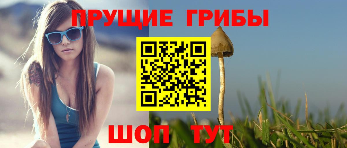 Гудермес  Псилоцибиновые грибы мицелий  Псилоцибиновые грибы прущие грибы  Вход с VPN 